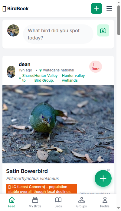 Social Feed
